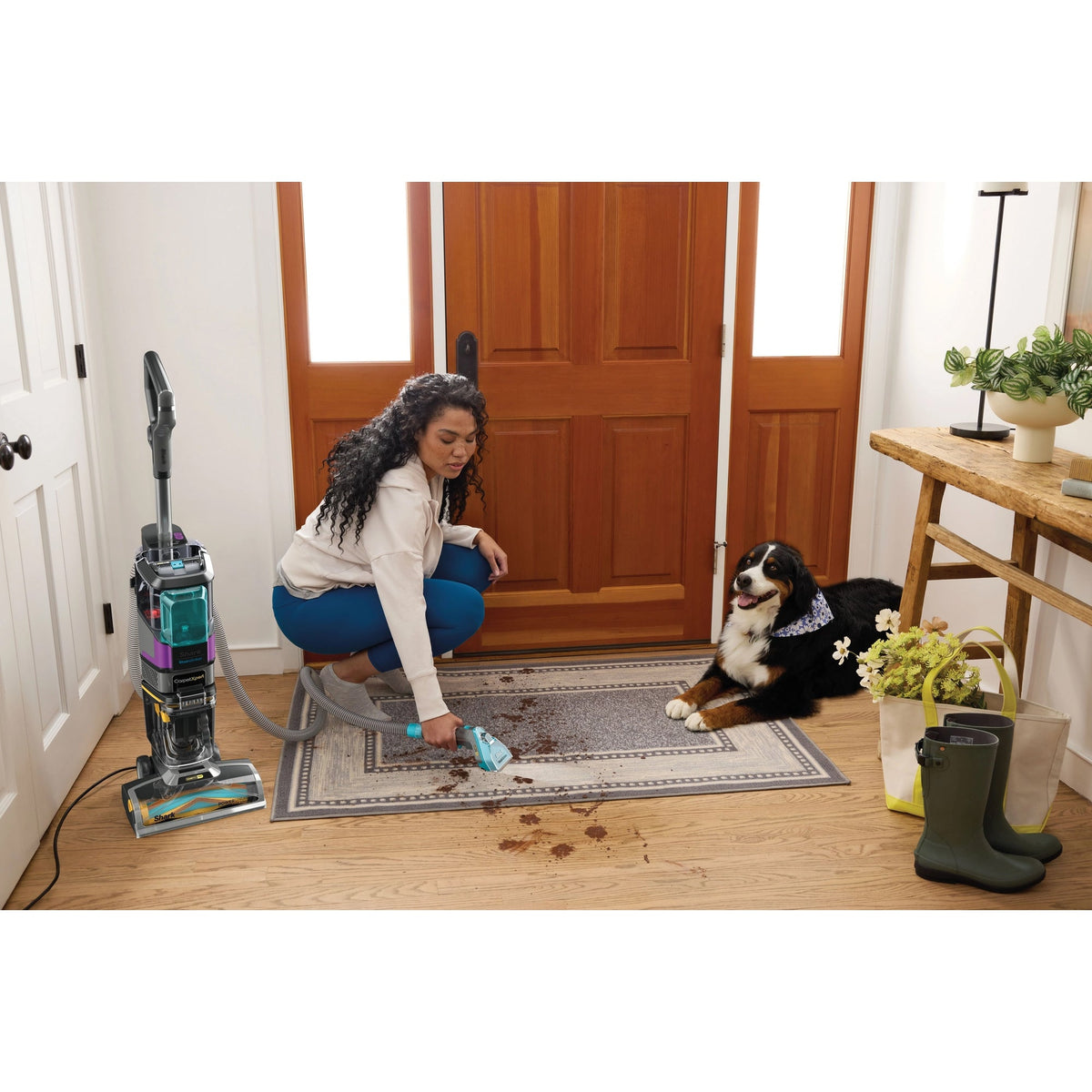 Shark CarpetXpert Carpet Cleaner with Built-In Stain Striker - Charcoal & Fuchsia - EX300UK