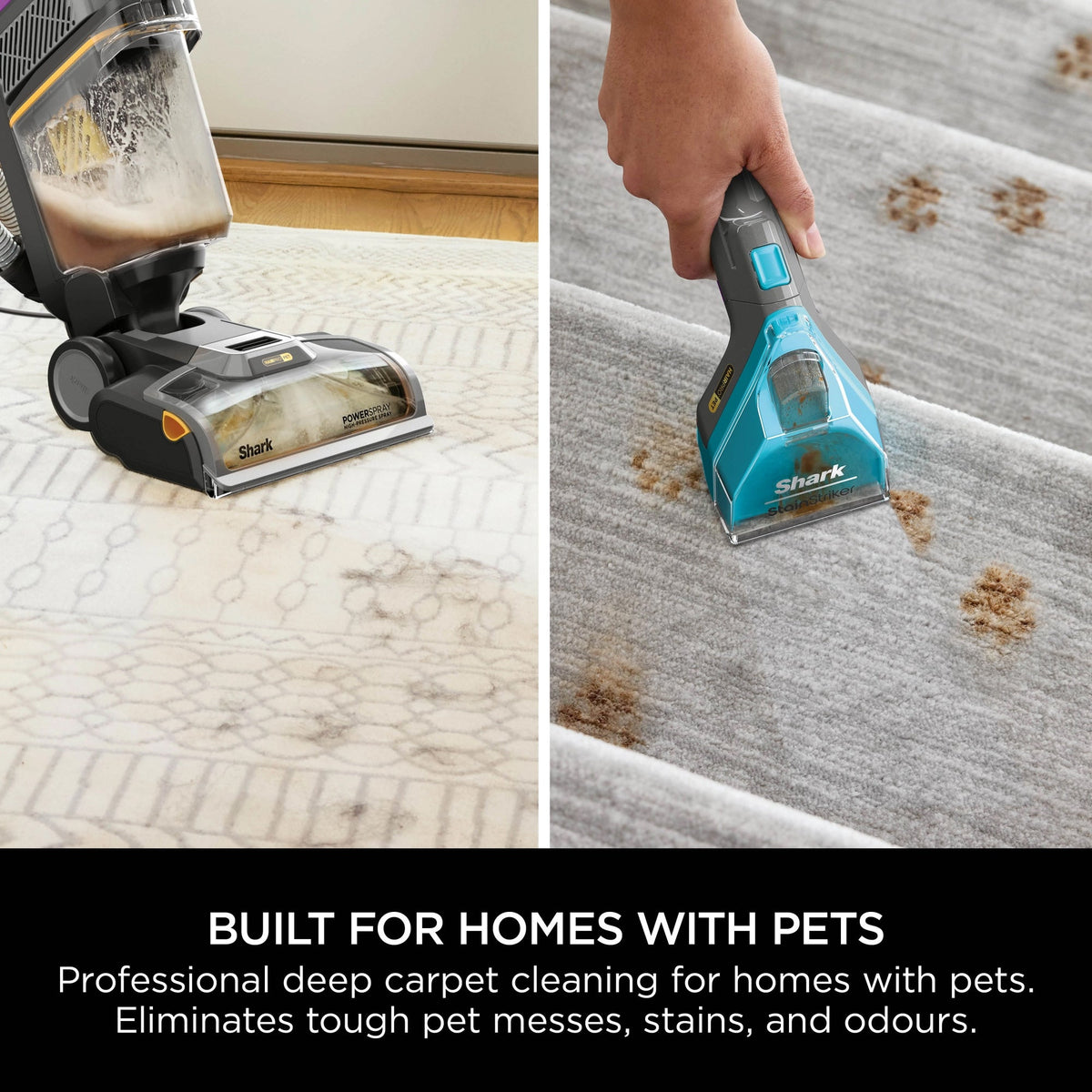 Shark CarpetXpert Carpet Cleaner with Built-In Stain Striker - Charcoal & Fuchsia - EX300UK