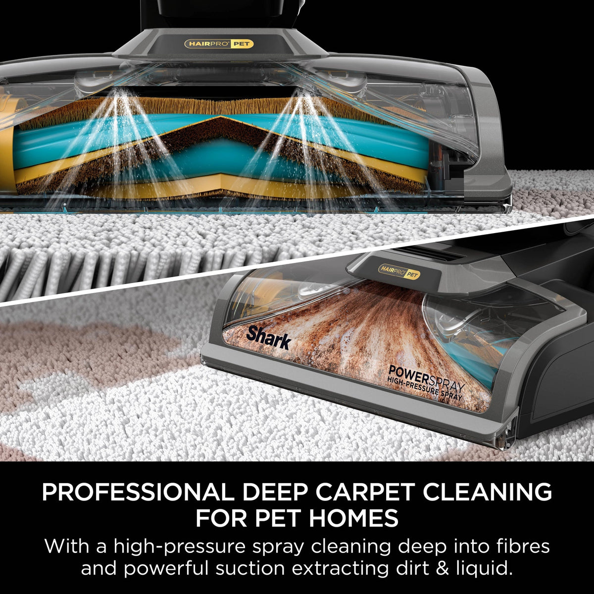 Shark CarpetXpert Carpet Cleaner with Built-In Stain Striker - Charcoal & Fuchsia - EX300UK