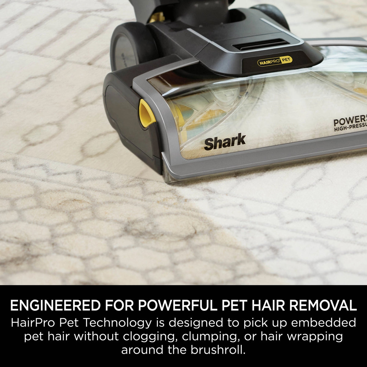 Shark CarpetXpert Carpet Cleaner with Built-In Stain Striker - Charcoal & Fuchsia - EX300UK