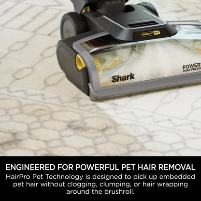 Shark CarpetXpert Carpet Cleaner with Built-In Stain Striker - Charcoal & Fuchsia - EX300UK
