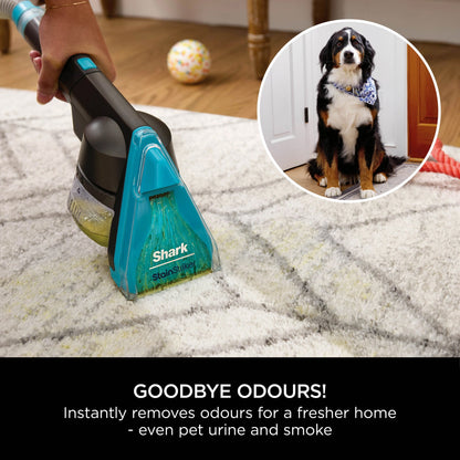 Shark CarpetXpert Carpet Cleaner with Built-In Stain Striker - Charcoal & Fuchsia - EX300UK